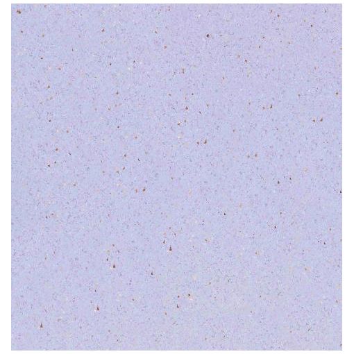 Линолеум коммерческий гомогенный коллекция IQ Zenith 713, ширина 2 м. Tarkett (Таркетт)